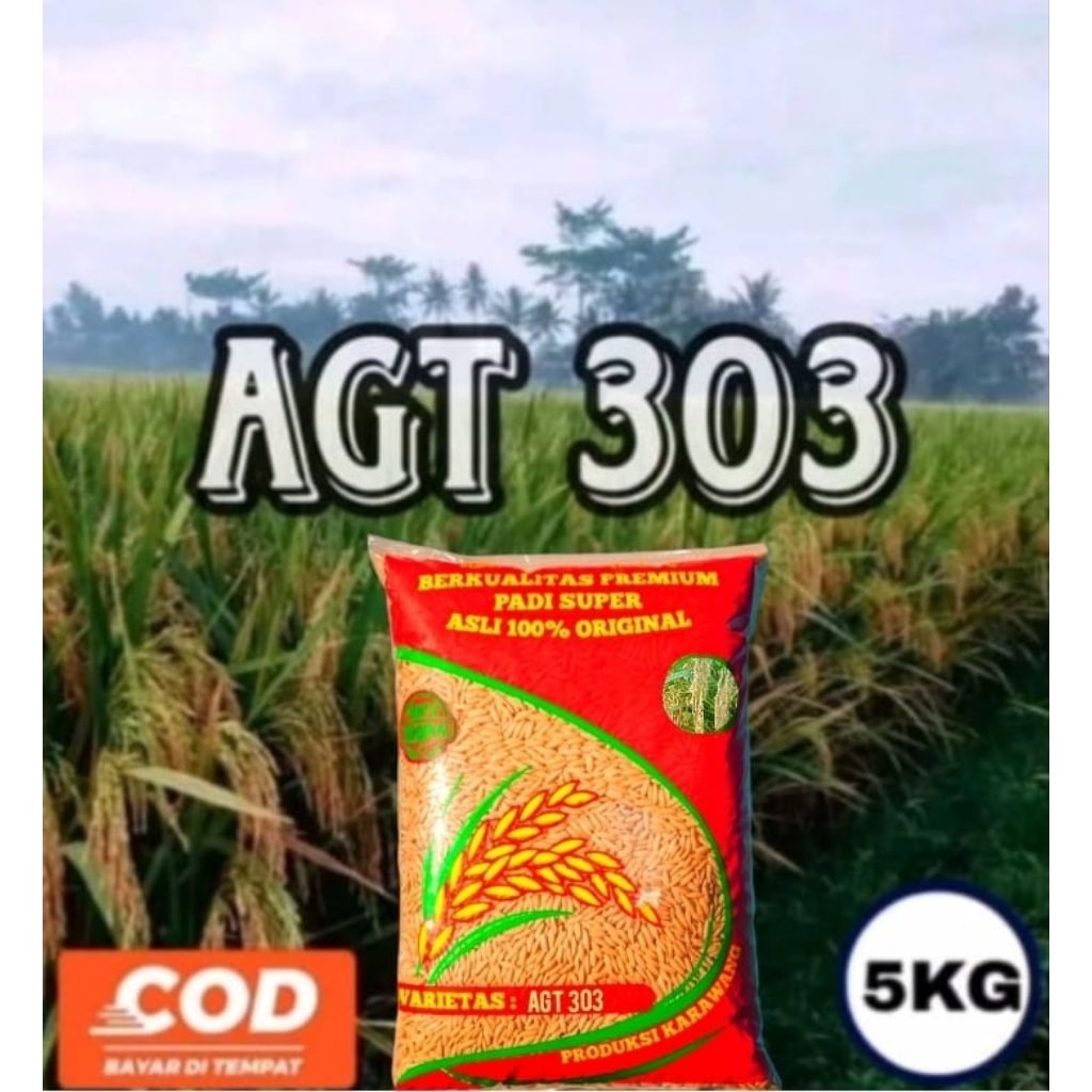 BENIH BIBIT PADI AGT 303 / PADI UNGGUL 303 AGT KEMASAN 5KG