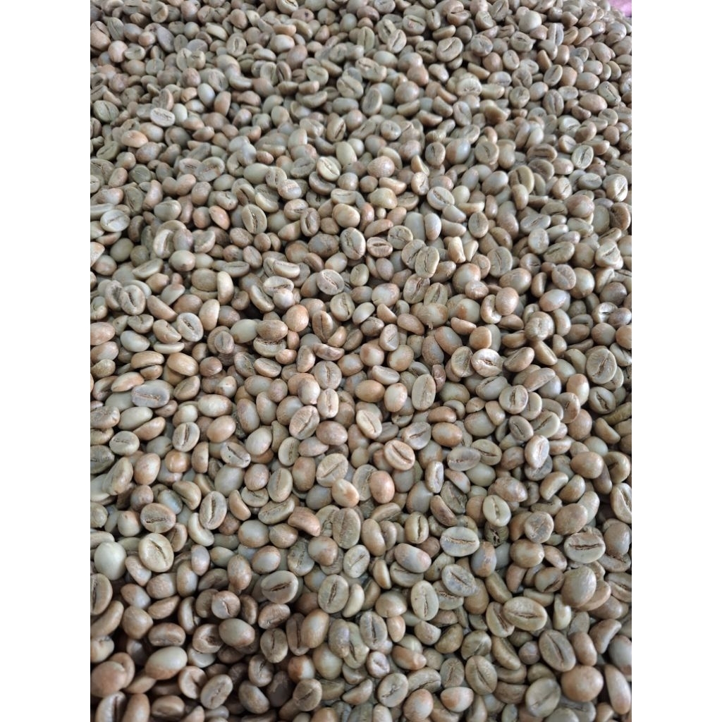 Biji Kopi Robusta Temanggung