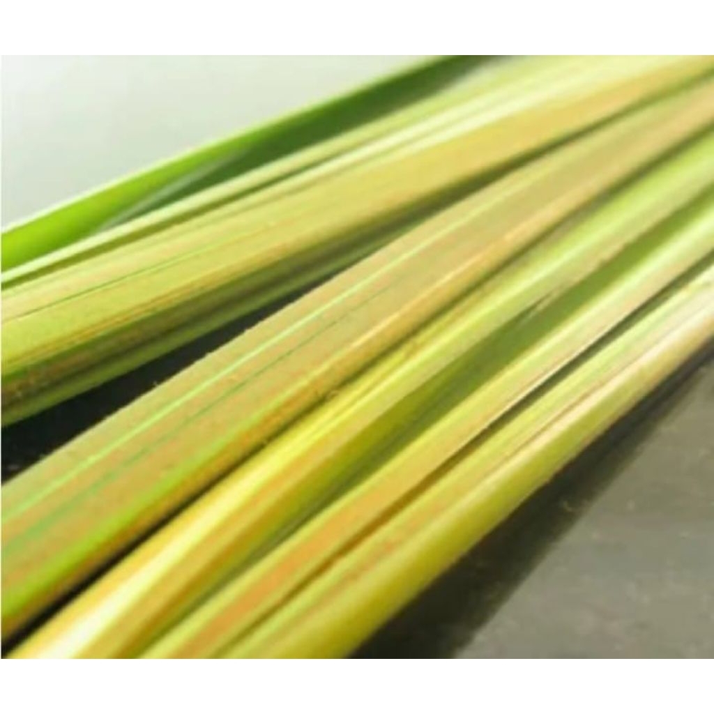 daun kelapa/janur untuk cangkang ketupat per 20 pcs