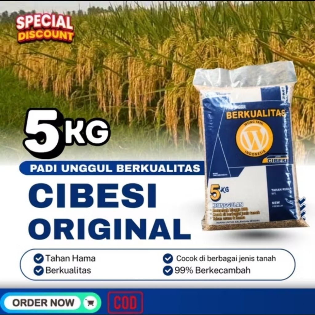 Gabah  kering CIBESI ORIGINAL