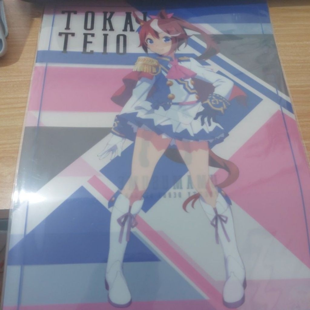Clearfile Uma Musume Pretty Derby Tokai Teio