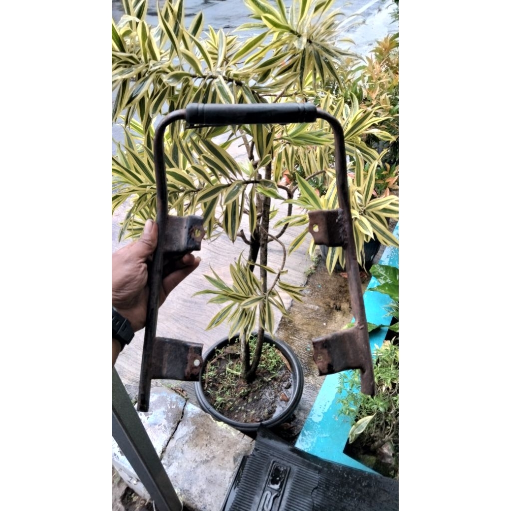 BEHEL YAMAHA ALFA ORIGINAL COPOTAN