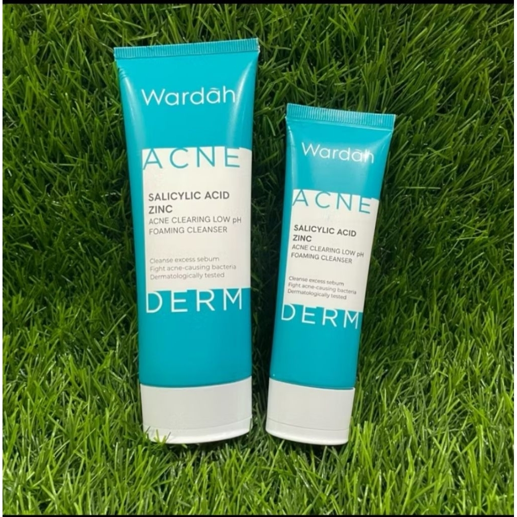 Wardah Foaming Cleanser Acnederm