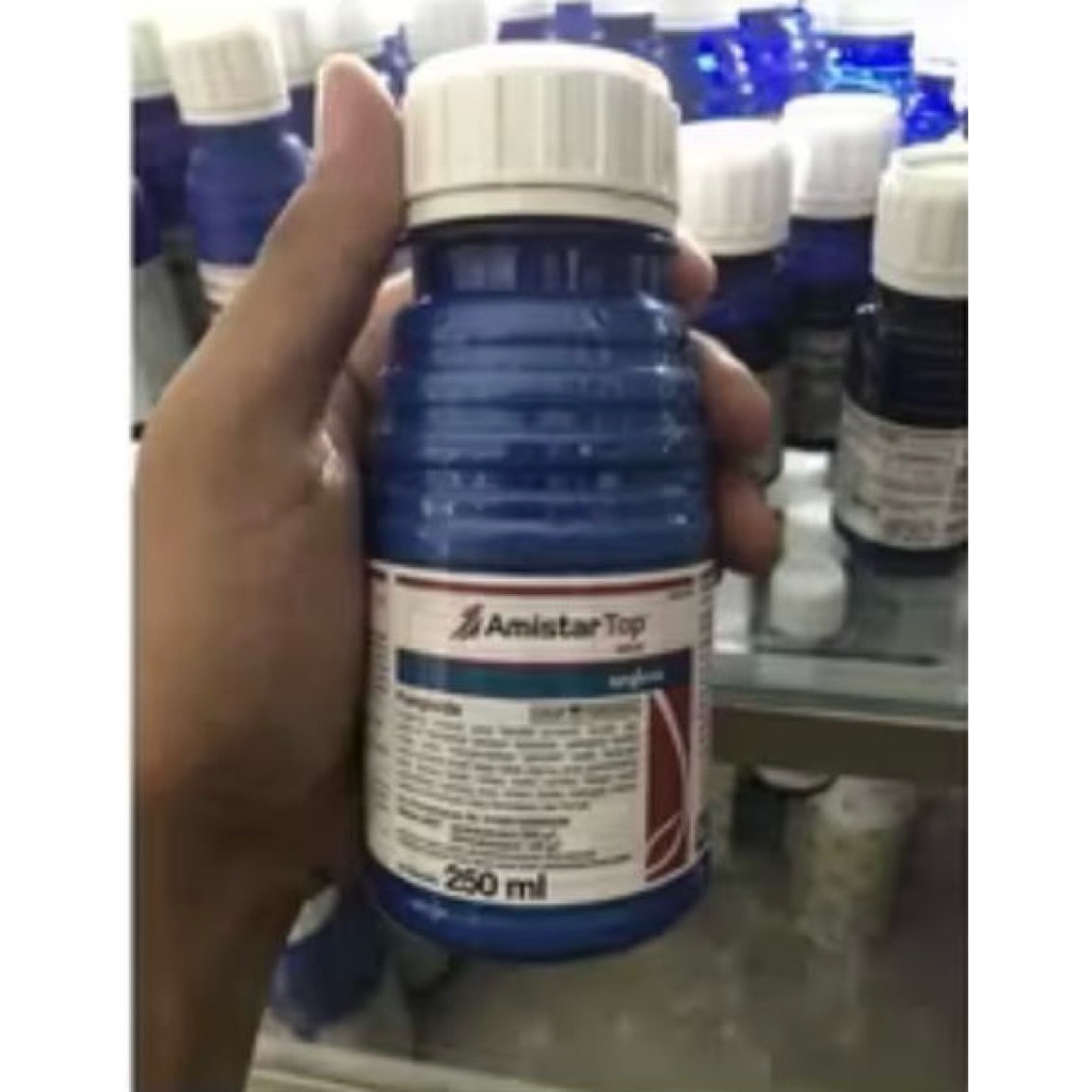 Amistartop 250ml Fungisida Original Syngenta