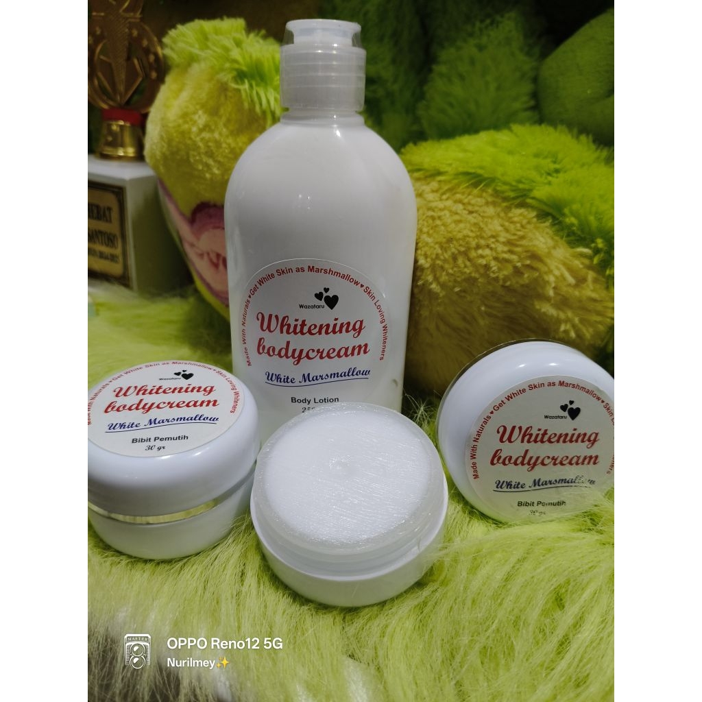 ECER BIBIT PEMUTIH WAZATARU