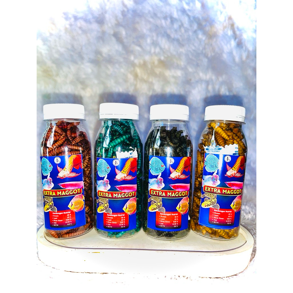 Maggot kering / Pakan ikan / Dried Maggot / Pakan channa / Makanan ikan hias / Makanan ikan predator