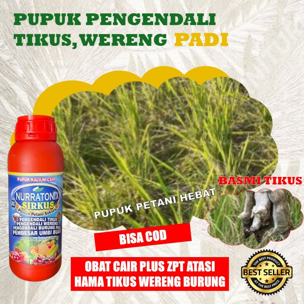 Pengendali Tikus Dan Pengendali Burung Piit Pada Tanaman Padi - Pupuk Cair Racun Tikus Dan Burung