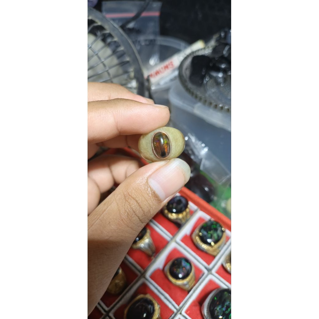 Kalimaya.lebak.ring tanduk