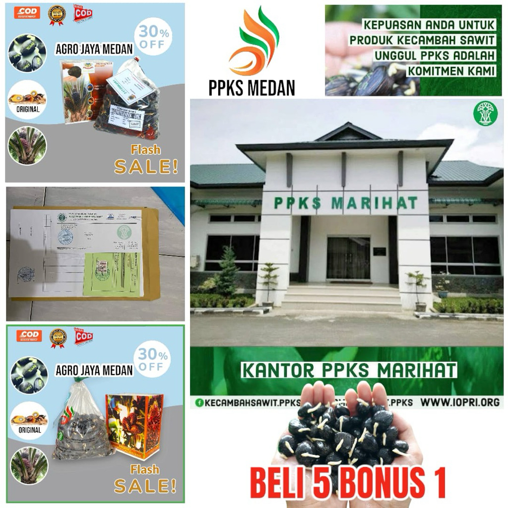 KECAMBAH SAWIT SRIWIJAYA 5 BERSERTIFIKAT