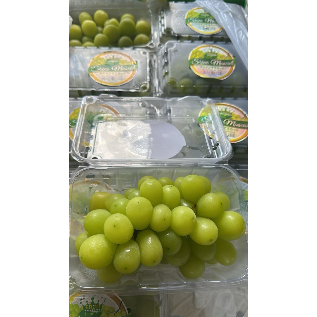 Anggur Hijau Shine Muscat Manis Tanpa Biji