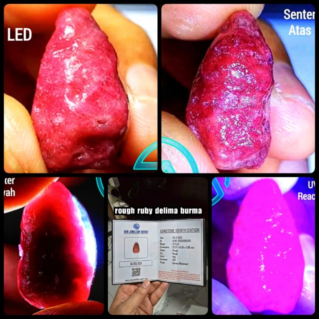 bongkahan asli Ruby delima Burma star + sertifikat lab