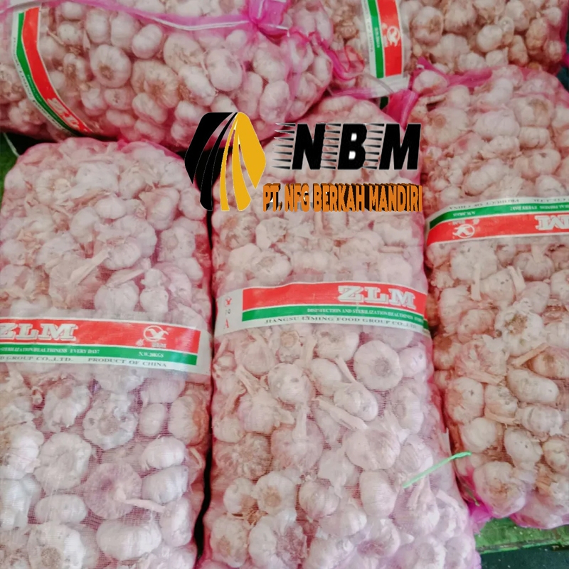 Bawang Putih Honan 20 Kg (1 Karung)