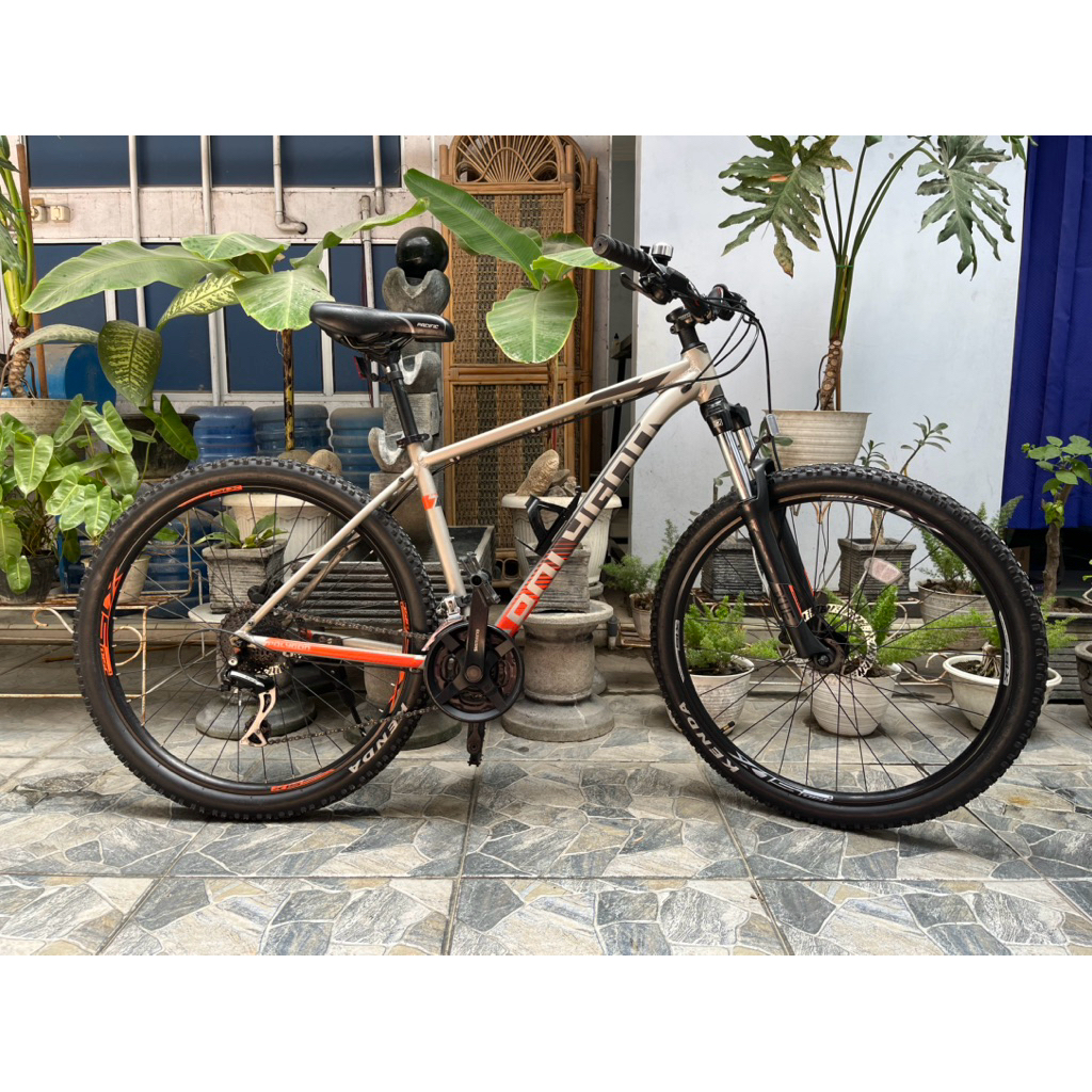 POLYGON PREMIER 4 2021