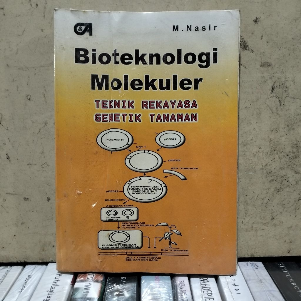 BUKU / BIOTEKNOLOGI MOLEKELUR TEKNIK REKAYASA GENETIKA TANAMAN