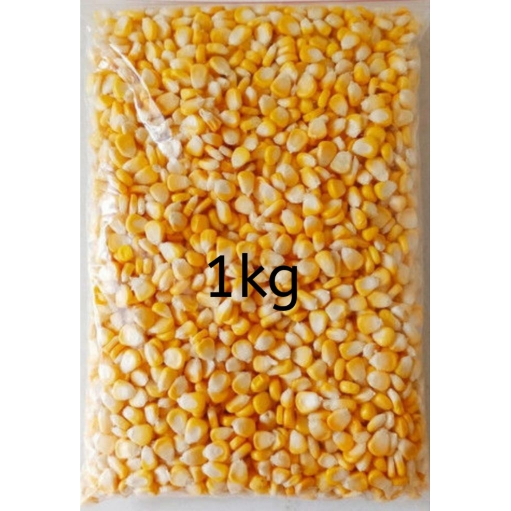 jagung pipil kering 1kg