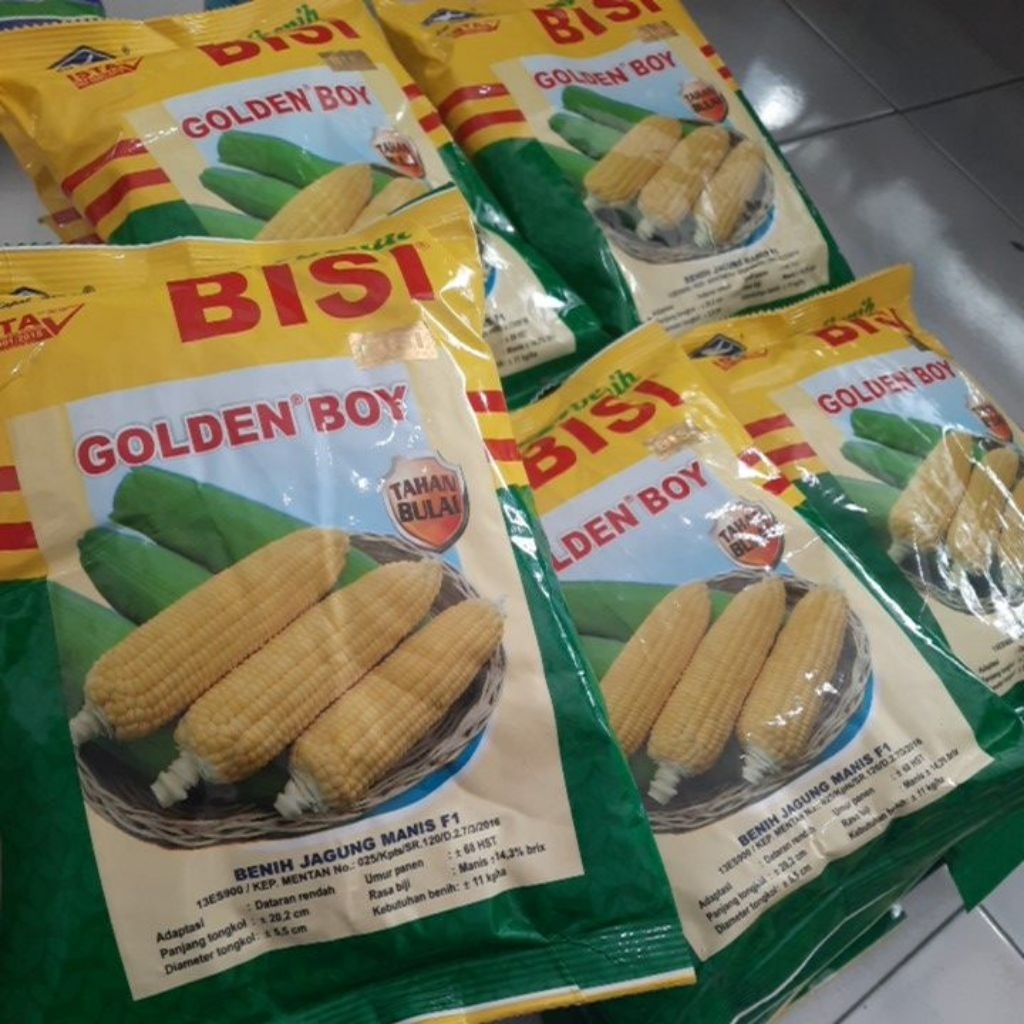 Benih Jagung Manis Hibrida F1 GOLDEN BOY 250 gram Cap Kapal Terbang - Hasil Panen Tinggi, Tahan Peny