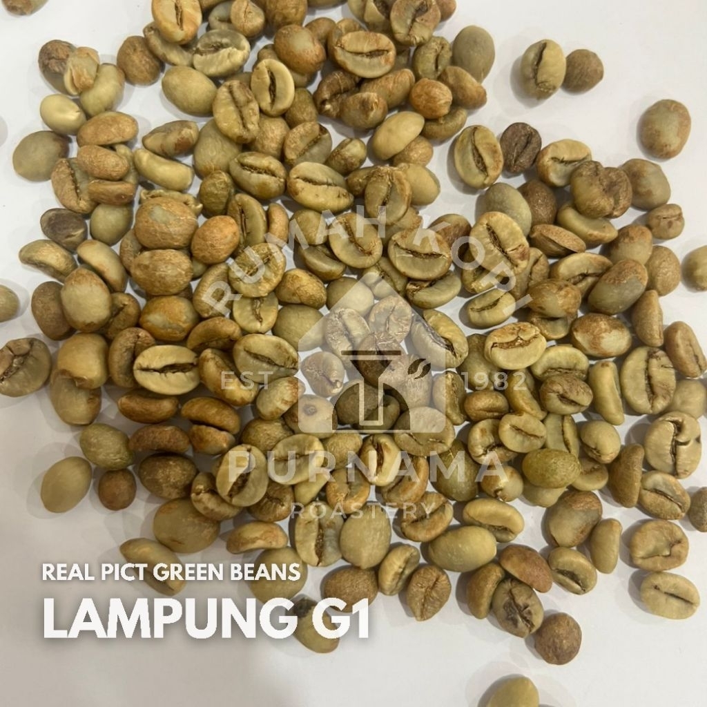 Green Bean Robusta Lampung G1