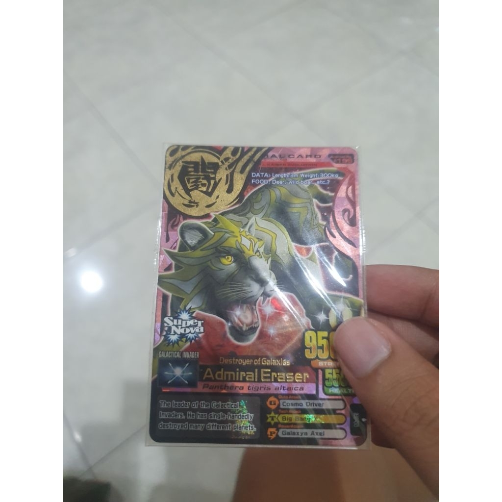 kartu animal kaiser admiral eraser