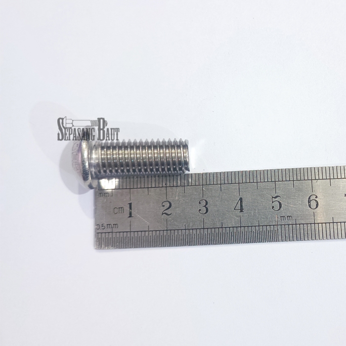 M10 x 25 Baut Button L Stainless 304 M10x25
