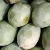 mangga manalagi 1kg