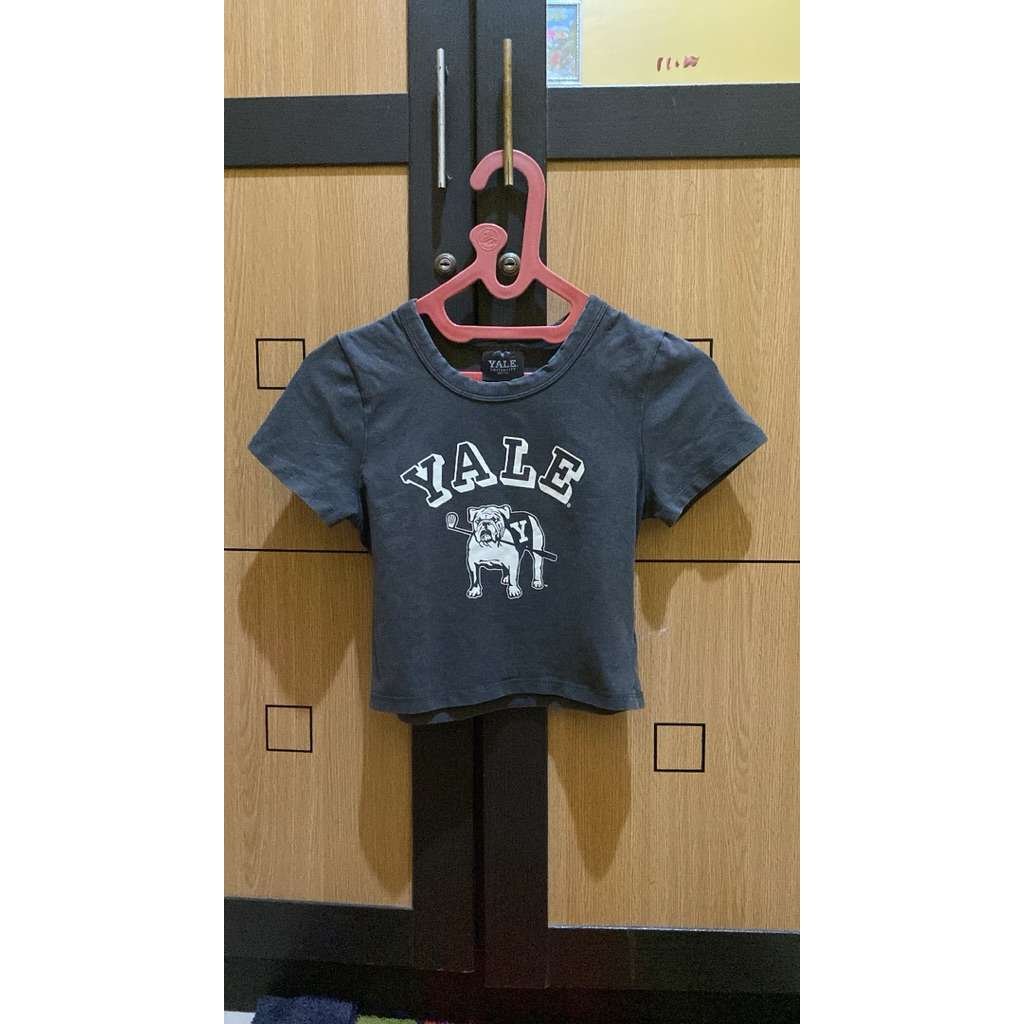 CROP COTTON ON X YALE, ZARA X CN POWERPUFF GIRL