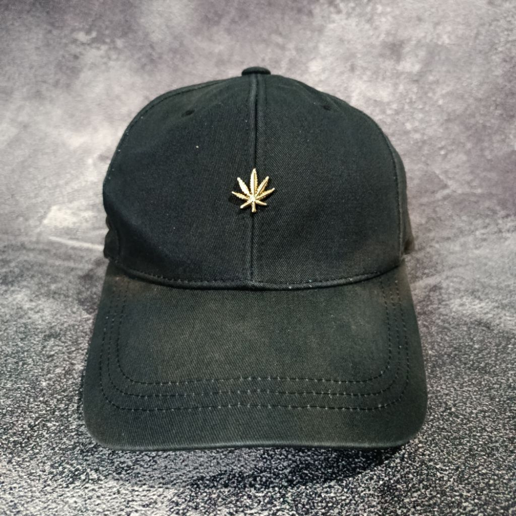 Digidegu Topi Hater Snapback Logo Daun Besi