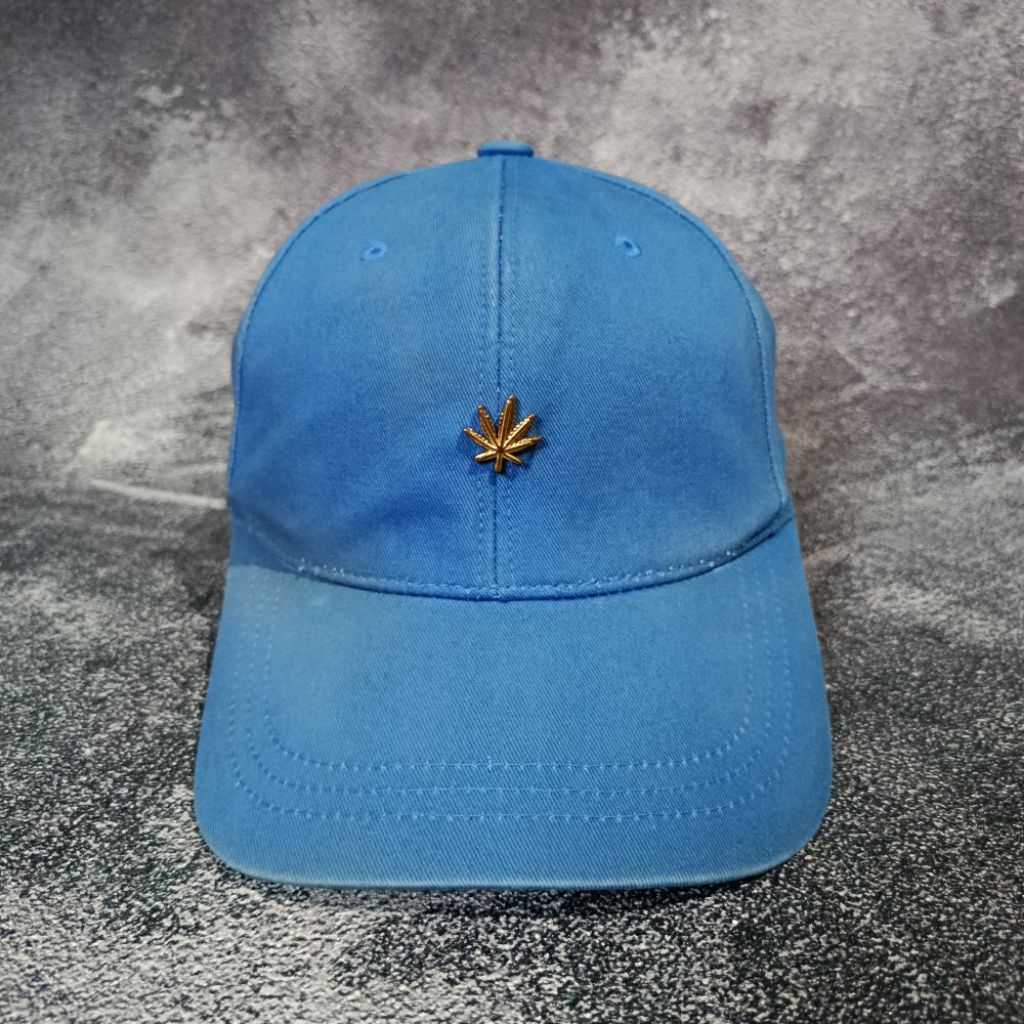 Digidegu Topi Hater Snapback Logo Daun Besi - Warna Biru