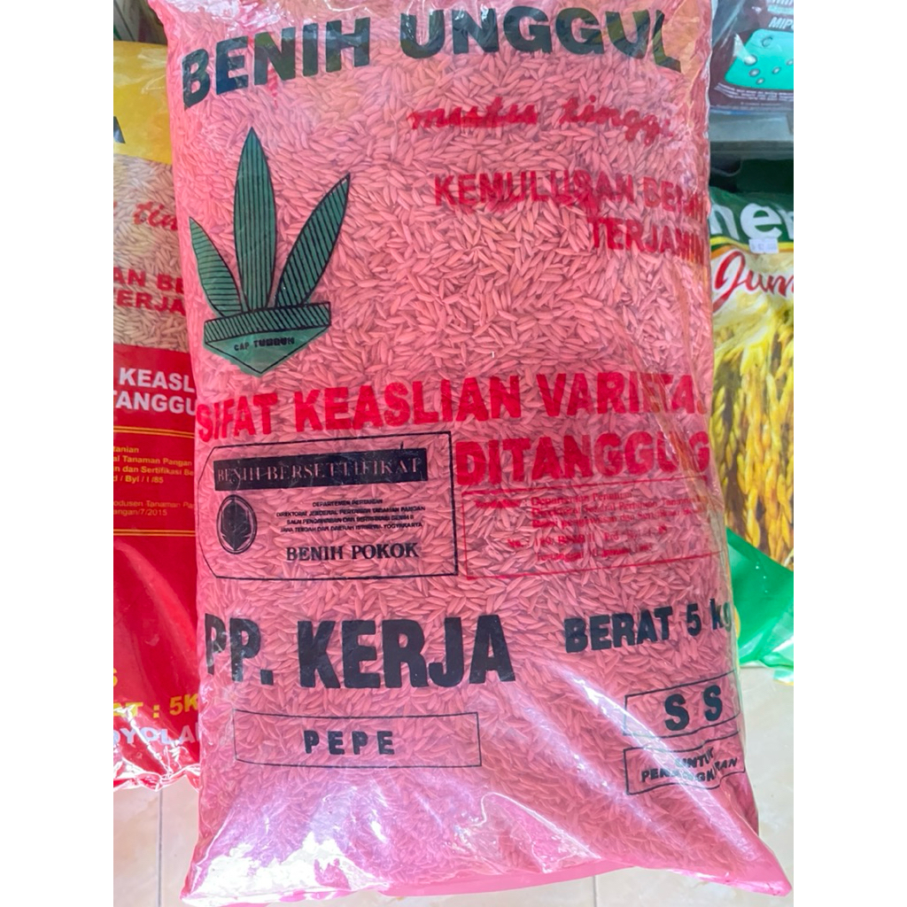 Benih Padi Pepe / Sri Putih 5kg PPKERJA BOYOLALI