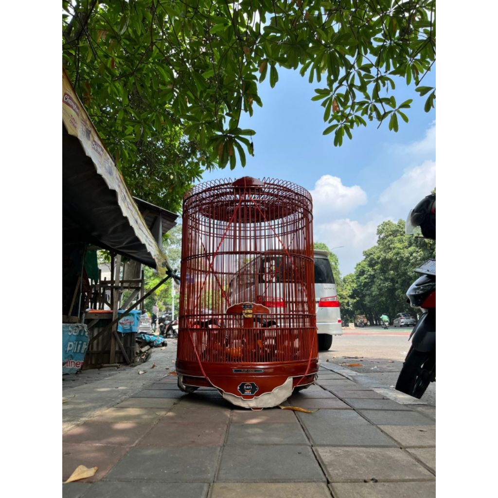 rafi jaya reborn no3