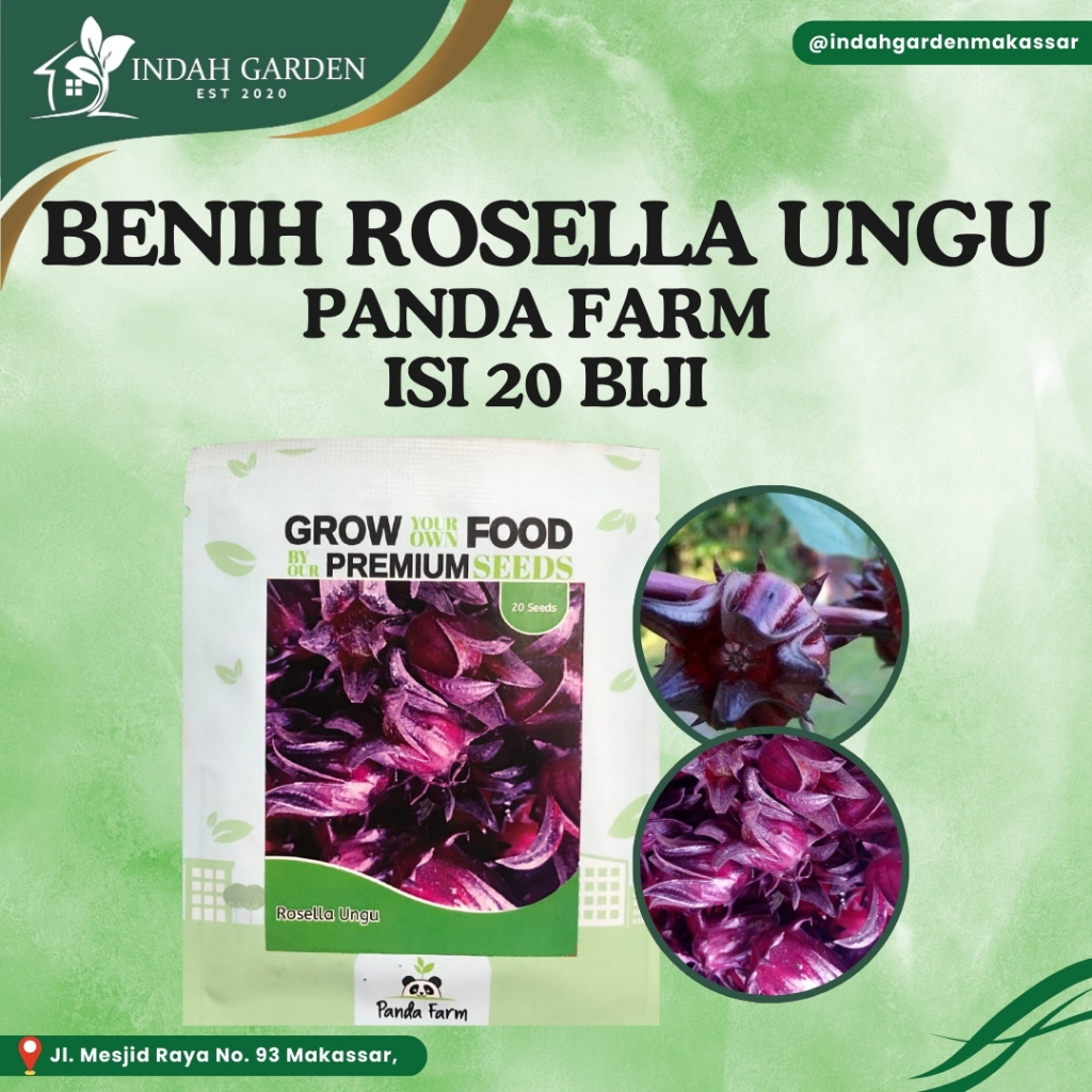 Benih Biji Bibit bunga Rosella UNGU Herbal Lokal Panda Farm - isi 20 biji-ROSELLA UNGU