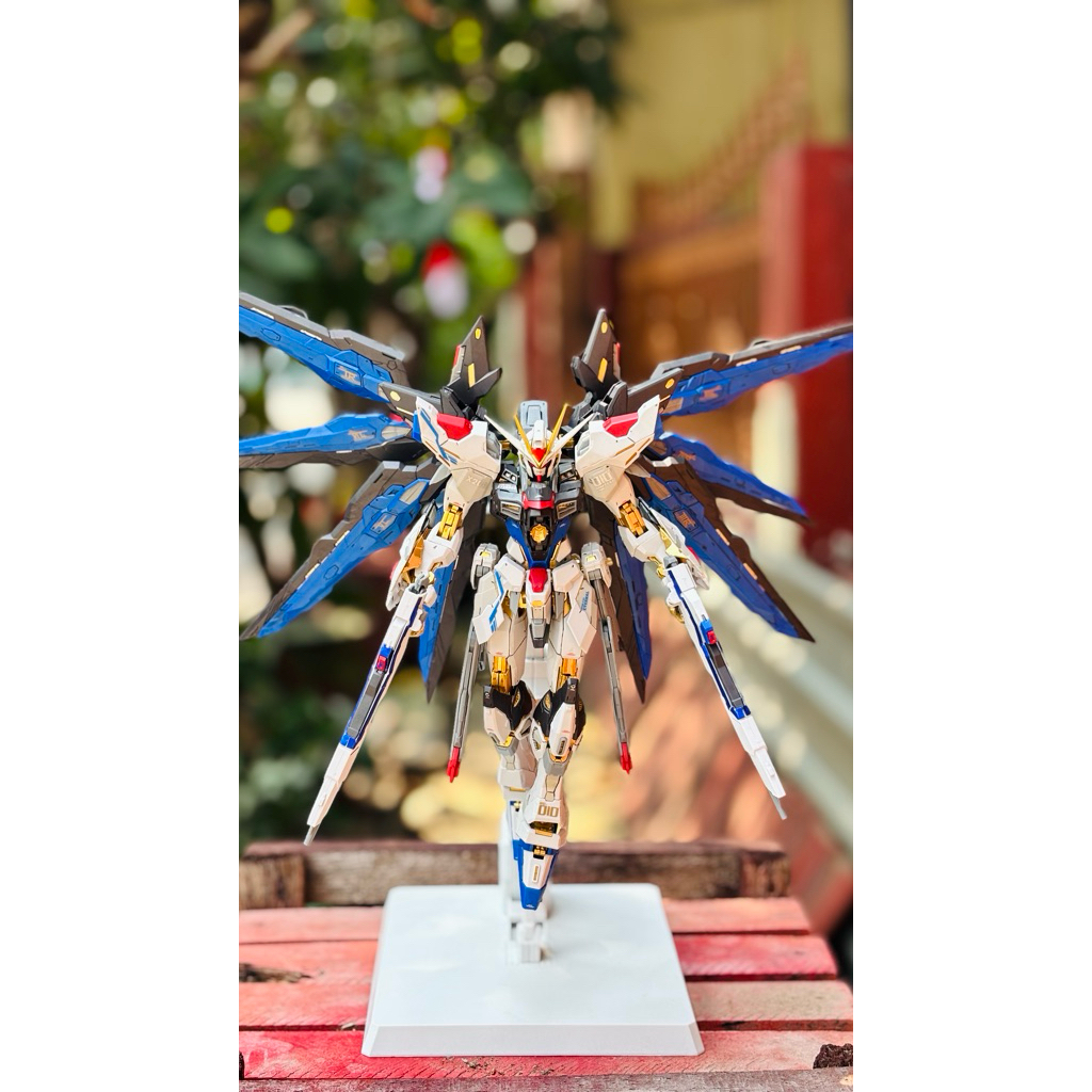 STRIKE FREEDOM DABAN NEW MODEL 1/100 WITH REPAINT AND DETAILING