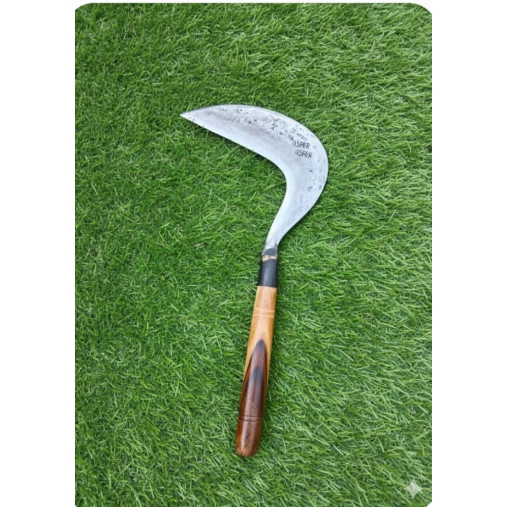 Arit ASPER GOLONG Baja Premium Super Sabit Tani Rumput Panen Padi Kuat Tajam
