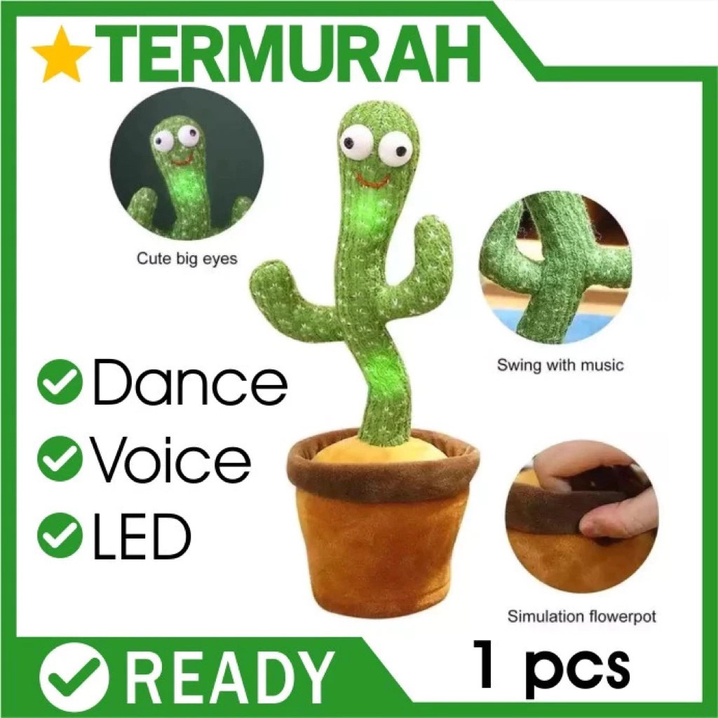 Mainan Kaktus Goyang