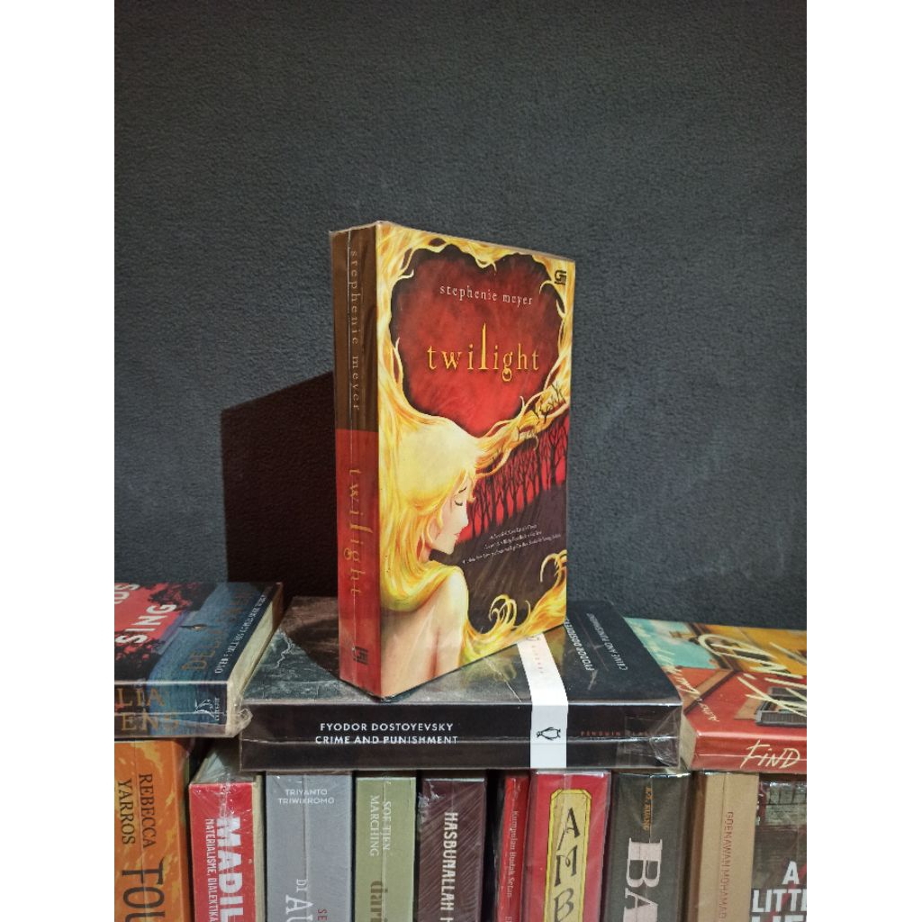 Buku Twilight - Stephanie Meyer