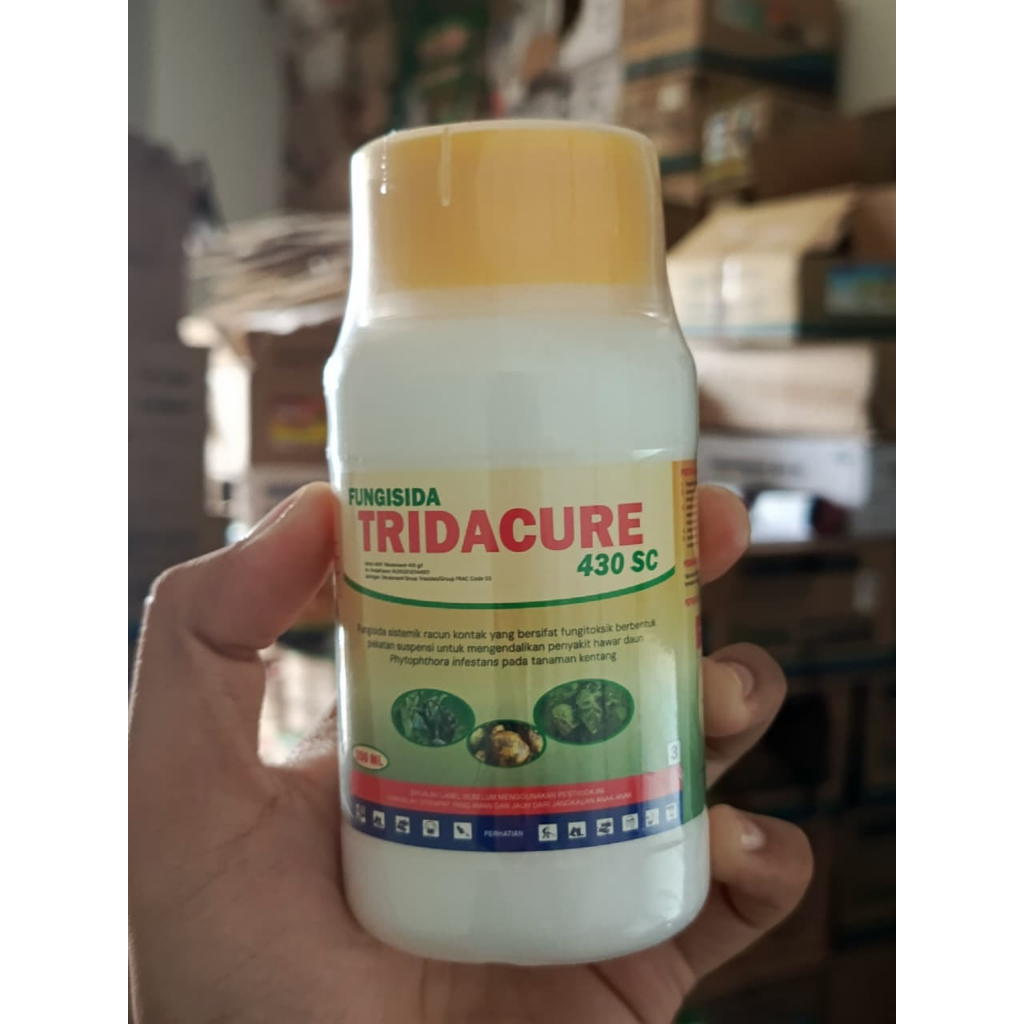 TRIDACURE 250 ML Tebukonazol Fungisida Sistemik