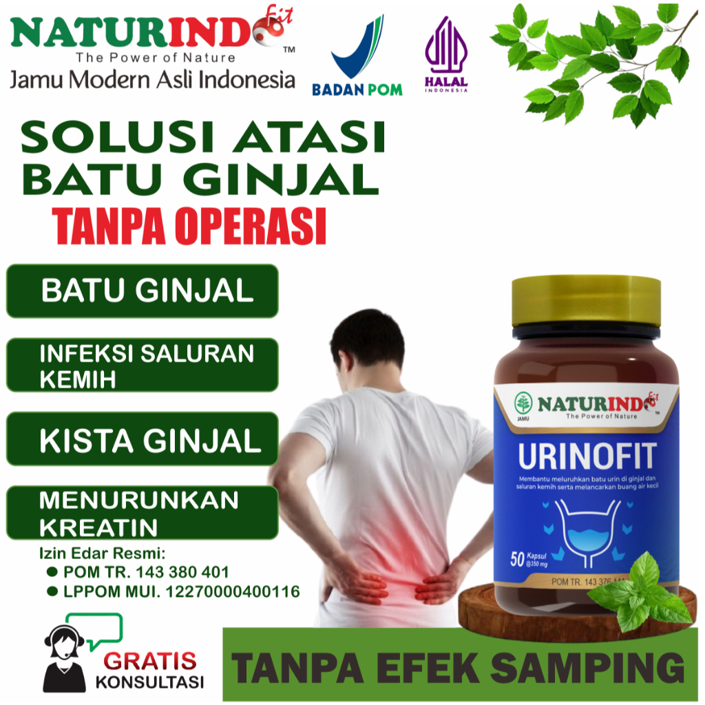 Obat Batu Ginjal Kencing Batu Infeksi Saluran Kemih Herbal Ginjal Kencing Tidak Tuntas Obat Ginjal U