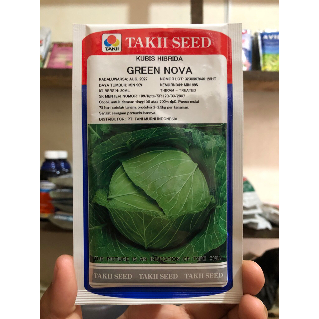 Benih kol Green Nova
