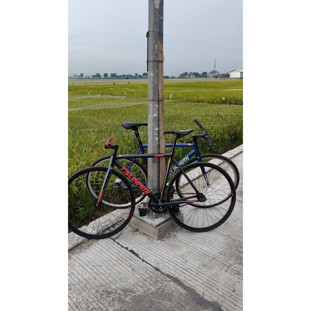 Frame only Tsunami snm100