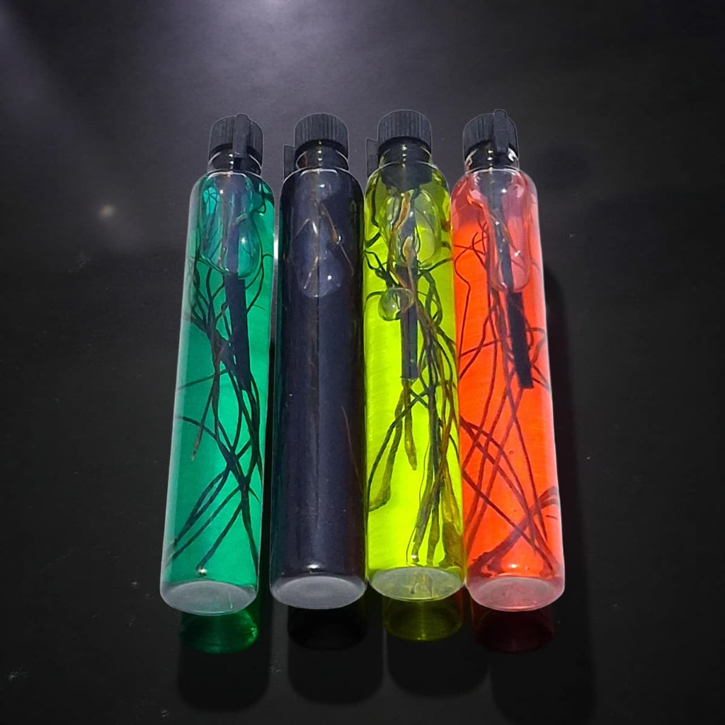 MINYAK PARFUM MELATI-BEPE BERGERAK DALAM AIR-EAU DE PRIA DAN WANITA WANGI