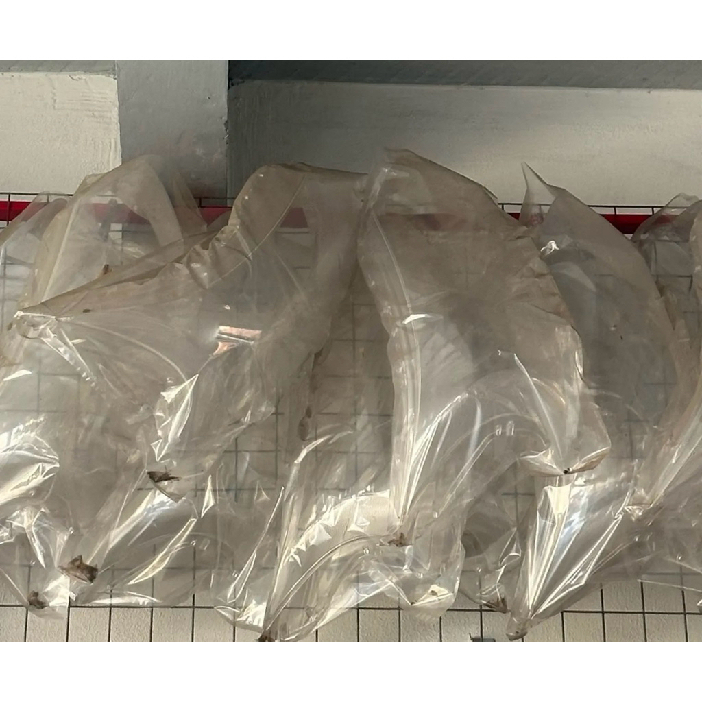 MIKA HEADLAMP ORIGINAL AVANZA GRAND 2015-2018 harga satuan