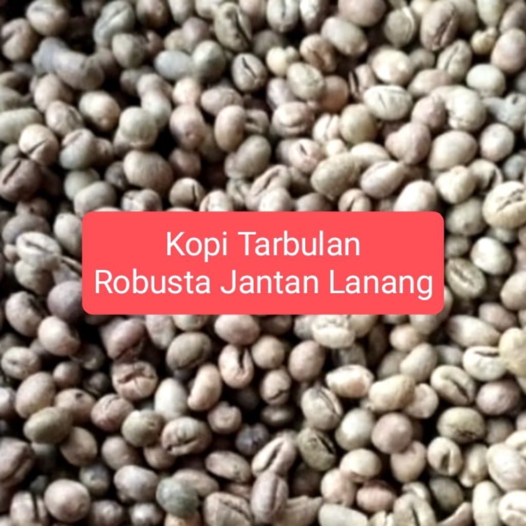Green Bean/ Biji Kopi Mentah Robusta Jantan Lanang Lampung Per kg
