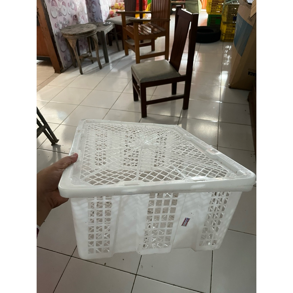 Keranjang Buah import || Keranjang Kelengkeng || Keranjang bumbu