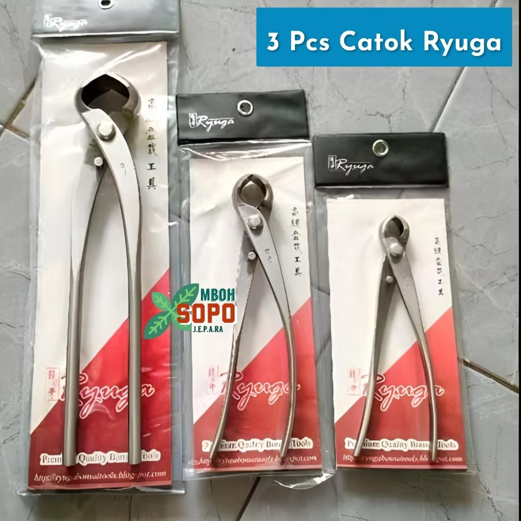 Alat Bonsai, Satu Set Catok Cembung RYUGA Stenlis Original - 3 Ukuran