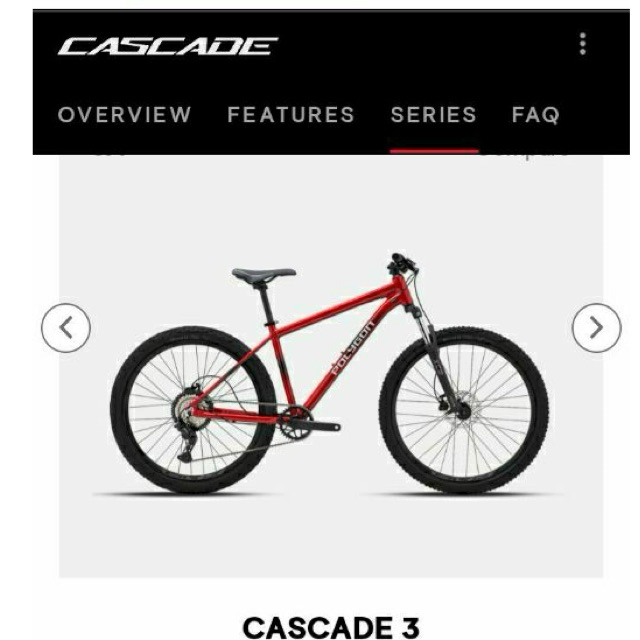 Sepeda Polygon Cascade 3 IN