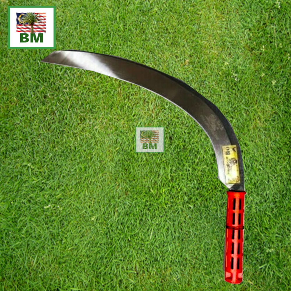 EGREK PALM KING PRO BONUS TAJI COD