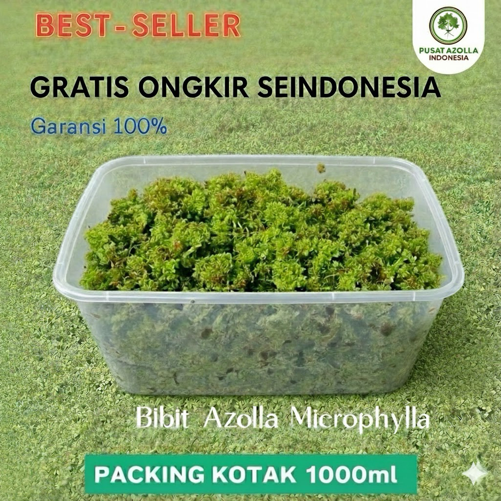 1000ml | AZOLLA Microphylla ALL IN ONE - Pakan, Bibit, Pupuk