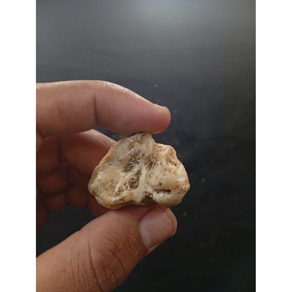 natural temuan alam batu meteor kuno garis petir A29