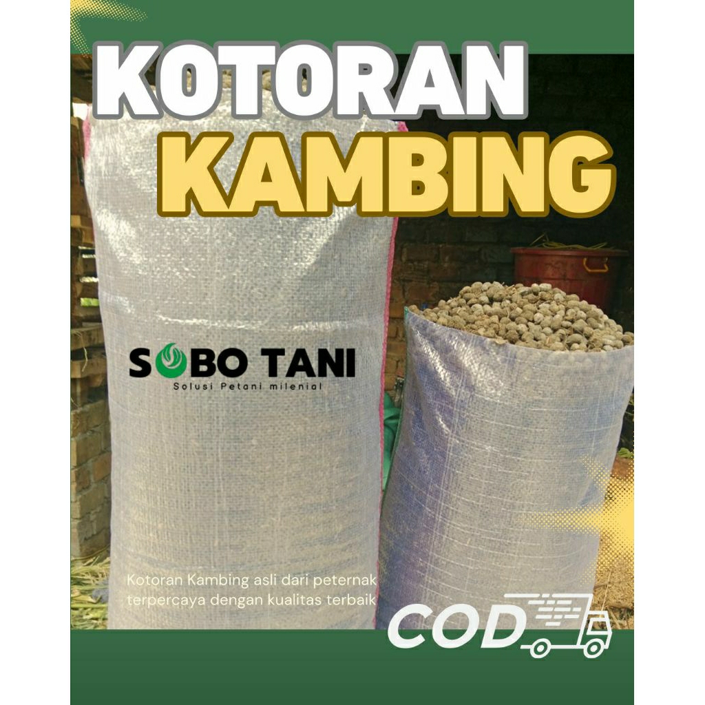 kotoran kambing