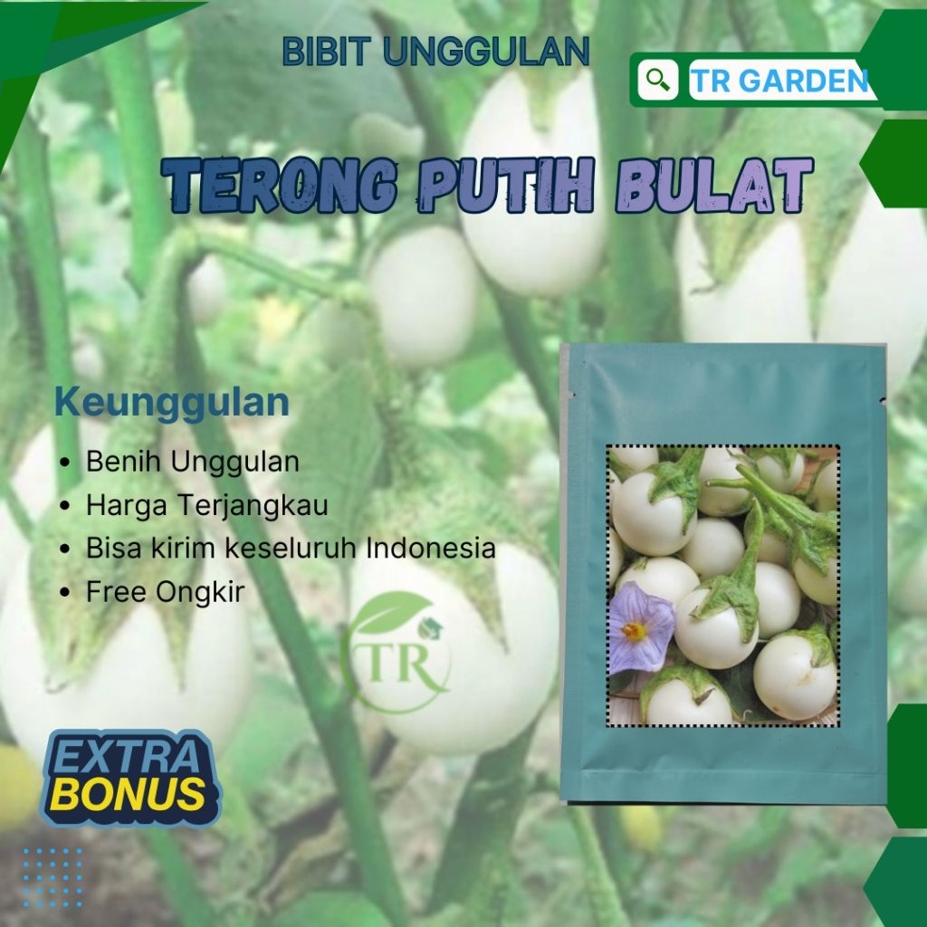 ( 40 biji ) benih biji Terong Putih bulat | terong telur putih unggul