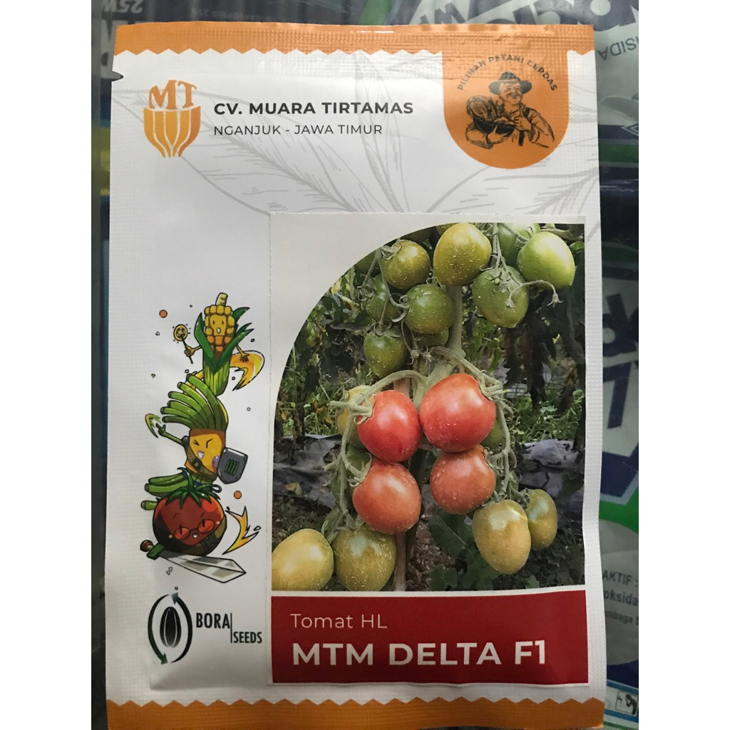 Benih MTM Delta F1 10 g (Tomat Besar)